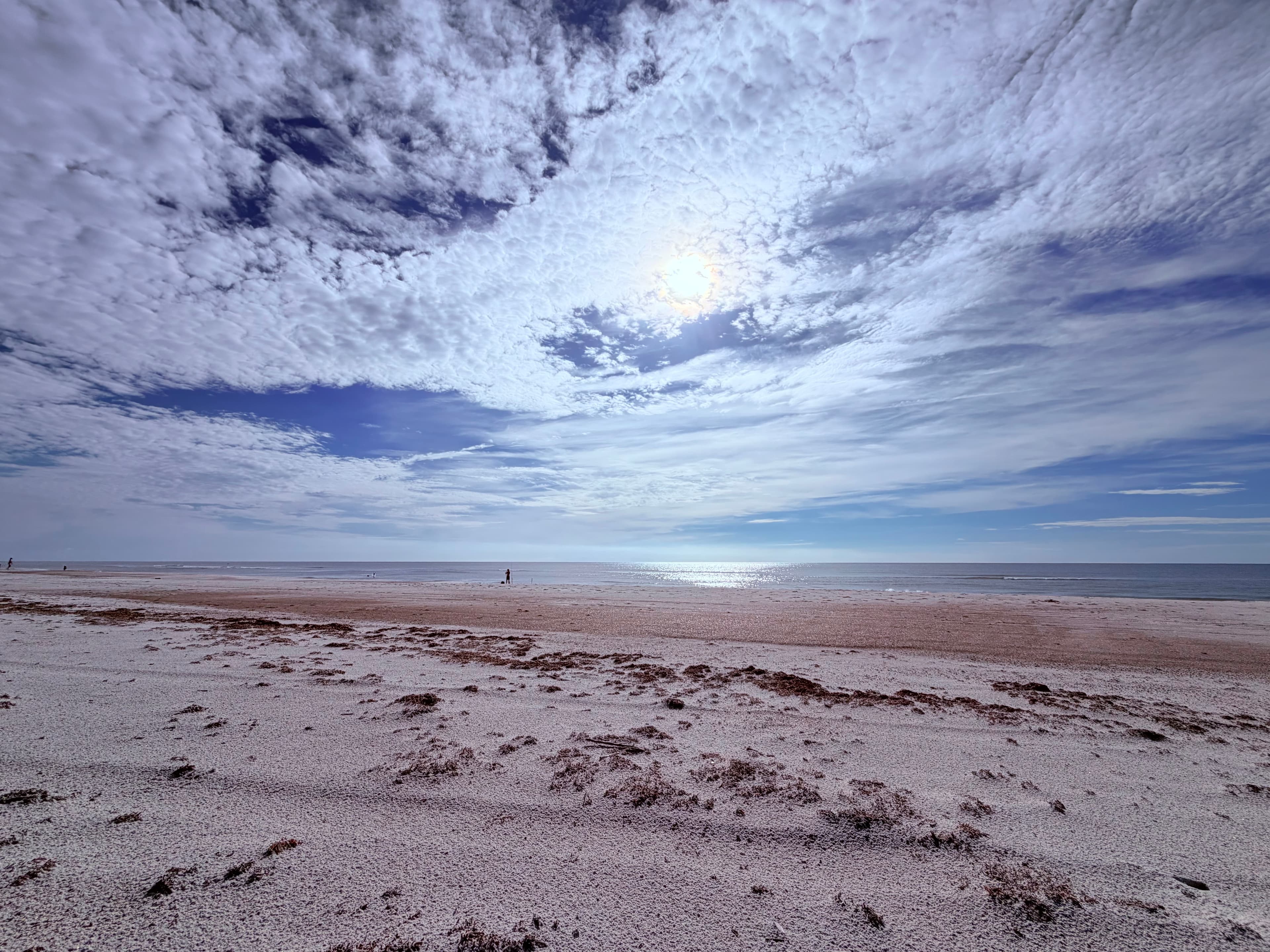 Beach landscape
